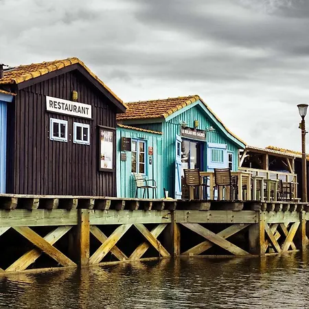 别墅 Maison 2 Pieces 4 Couchages D'oleron Ddo000-023 道拉斯奥莱龙