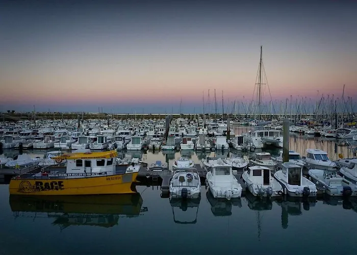 Maison 2 Pieces 4 Couchages D'oleron Ddo000-023 Dolus d'Oléron